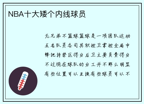 NBA十大矮个内线球员